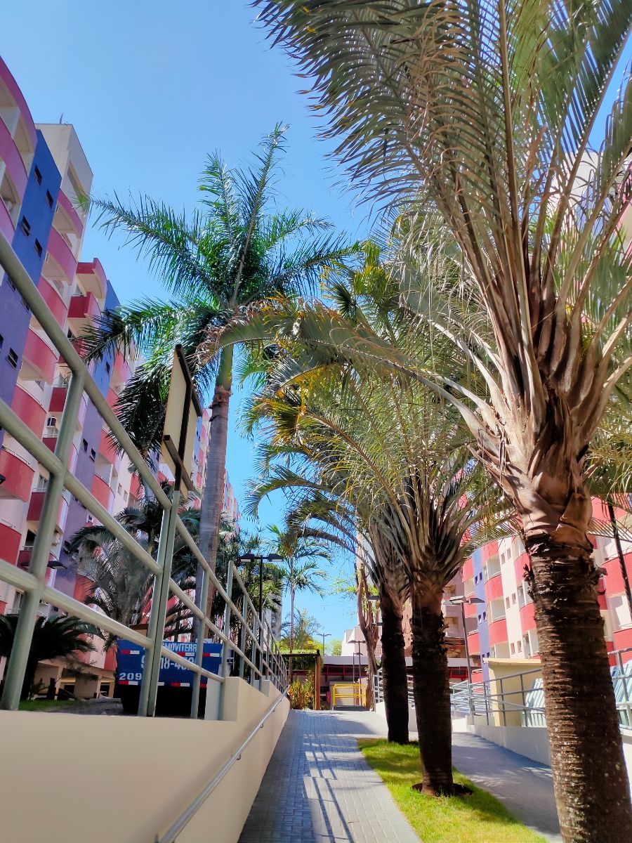 Residencial Cidade Universitária - Aluguel — foto 5