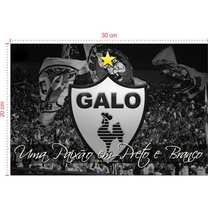 Placa em PVC - Atlético MG 003 - Tamanho: 30x20 cm
