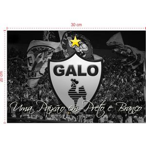 Placa em PVC - Atlético MG 003 - Tamanho: 30x20 cm