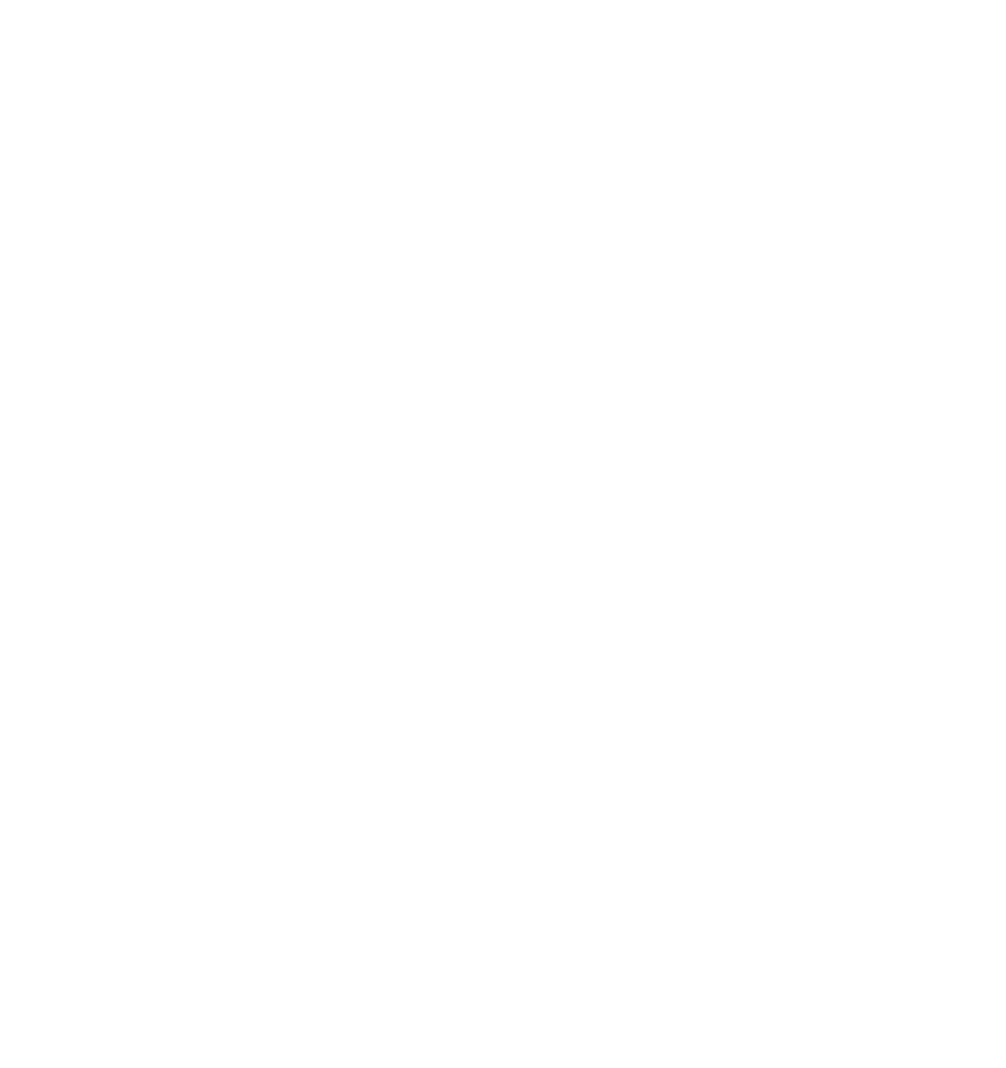 The Party Barn logo