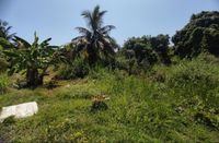 Photo 8850 of Land at KG Labu Lanjut, Mukim Labu, Sepang, Selangor