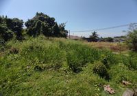 Photo 8851 of Land at KG Labu Lanjut, Mukim Labu, Sepang, Selangor