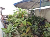 Photo 9304 of Double Storey Terrace House at Ecohill 2 Type Barras, Bumi Lot