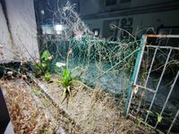 Photo 4745 of Terrace 2 Storey at Taman Belinna, Seksyen 36 Shah Alam