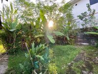 Photo 21649 of Single Storey (Bungalow) at Jalan Lurah, Kawasan Kempas Lurah, Johor Bahru, Johor Darul Ta'zim