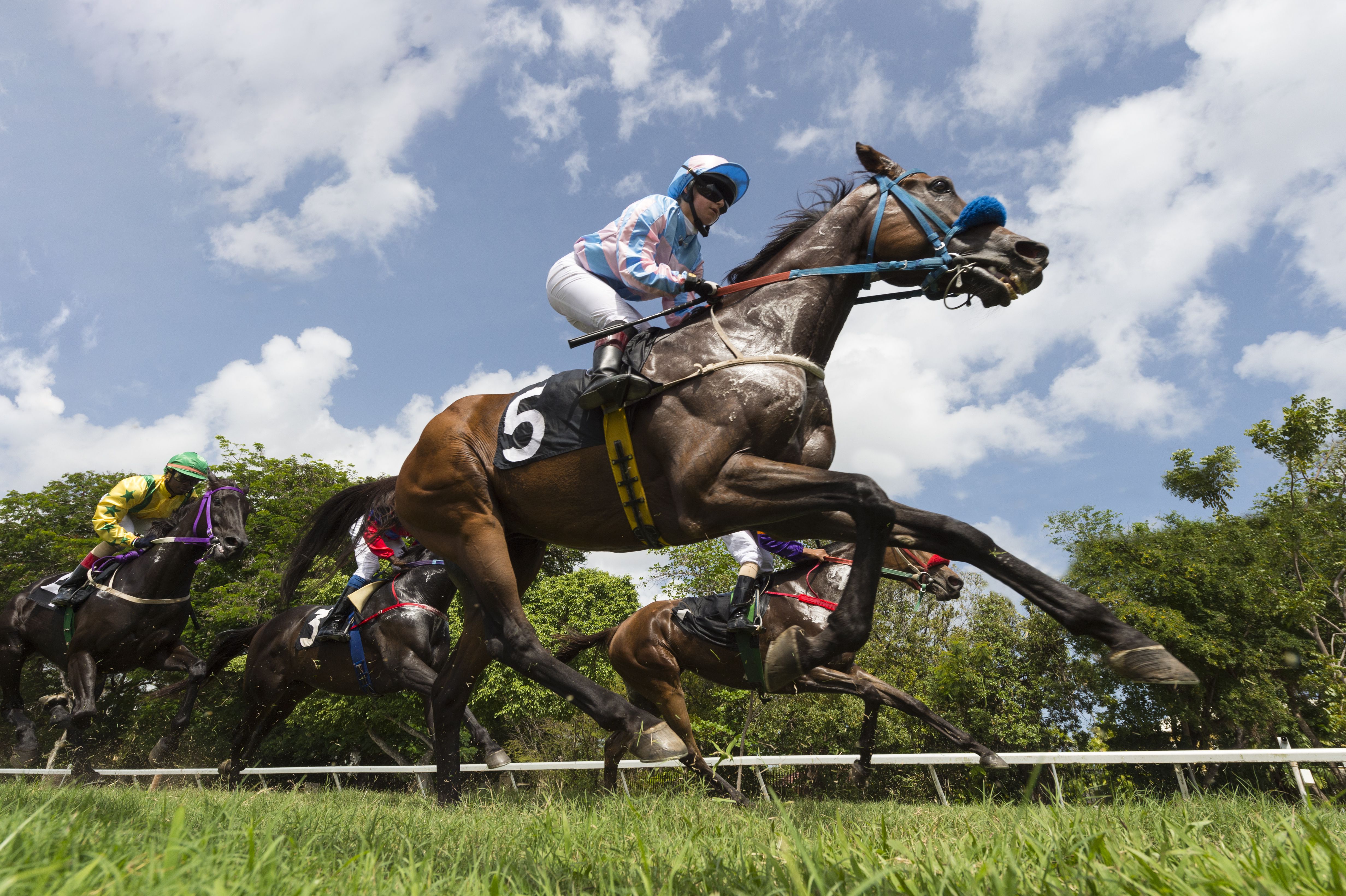 Horse Racing Horse Racing