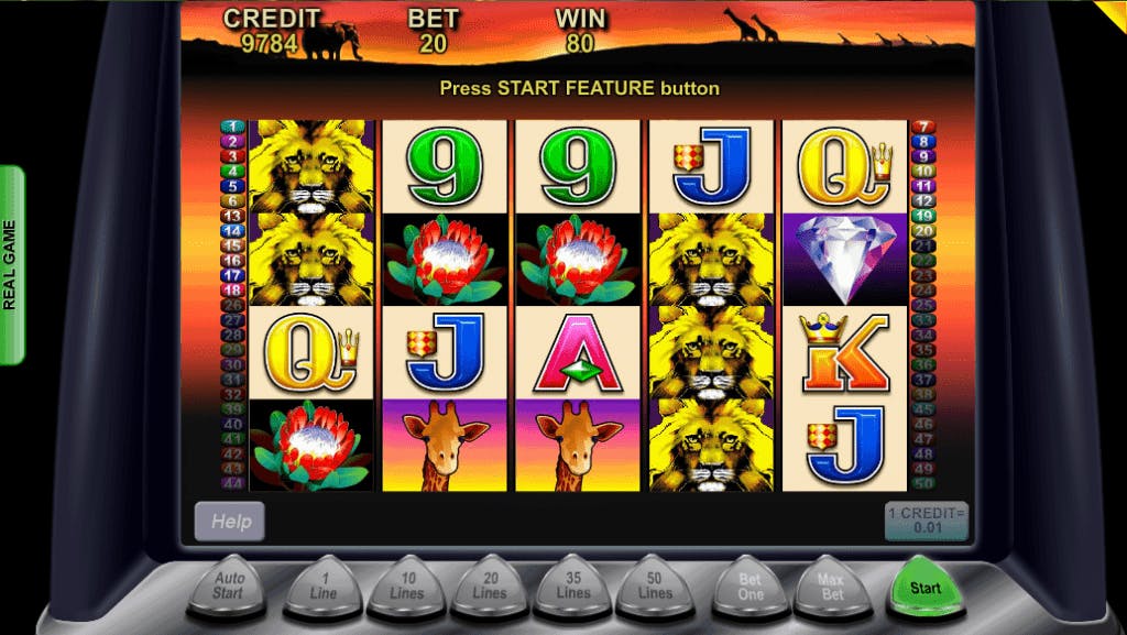 50 Lions slot game