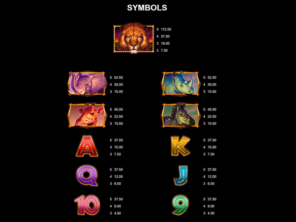 African Quest screenplay African Quest slot game