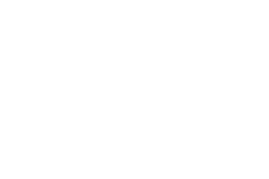 All41 Studios provider