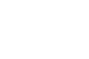 All41 Studios All41 Studios provider