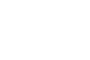 Bally Wulff provider