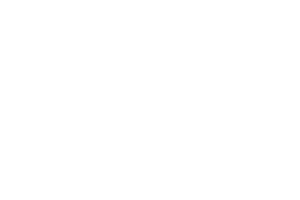 Betsoft provider