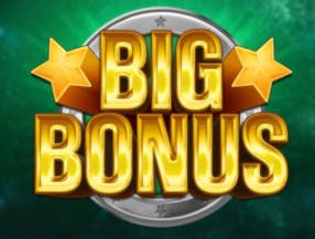 Big Bonus slot game