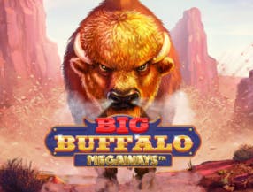 Big Buffalo Megaways slot game