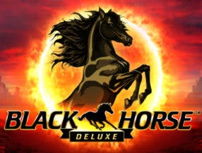 Black Horse Deluxe slot game
