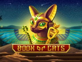 Book of Cats screenplay Book of Cats slot game