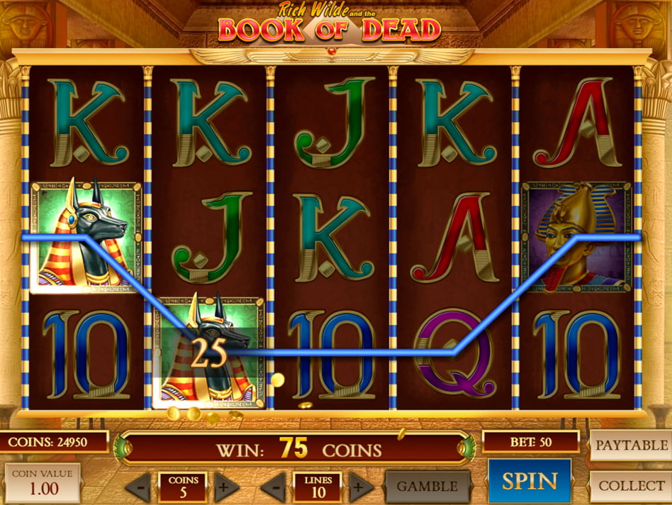 Book of Dead slot game