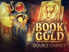 Book of Gold Double Chance slot game