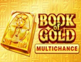 Book of Gold Multichance slot game
