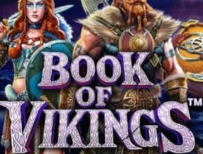 Book of Vikings slot game