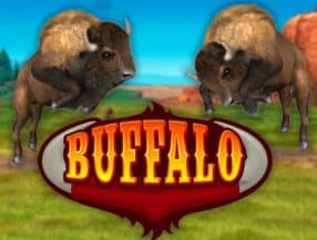 Buffalo Bingo slot game