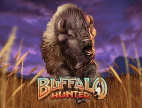 Buffalo Hunter slot game