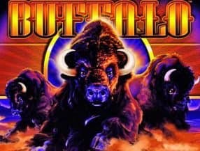 Buffalo slot game