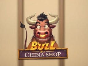 Bull in a China Shop