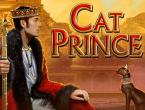 Cat Prince slot game
