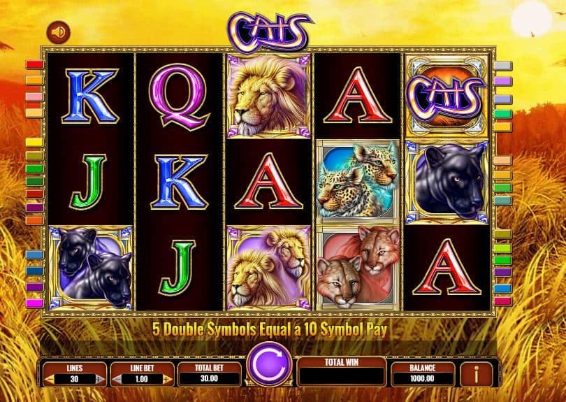 Cats slot game