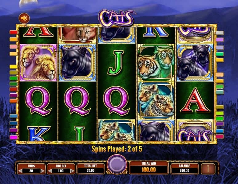 Cats screenplay Cats slot game