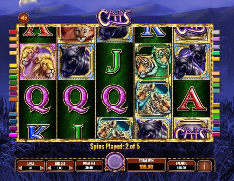 Cats slot game