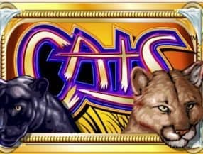 Cats screenplay Cats slot game