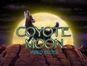 Play coyote moon slot online free Play coyote moon slot online free
