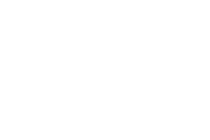 Crazy Tooth Studio provider