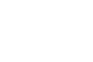 Crazy Tooth Studio Crazy Tooth Studio provider