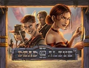 Dead or Alive II screenplay Dead or Alive II slot game