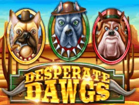 Desperate Dawgs slot game