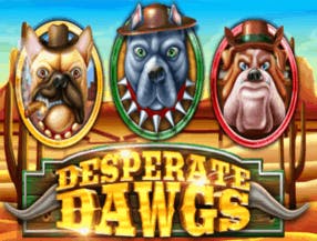 Desperate Dawgs screenplay Desperate Dawgs slot game