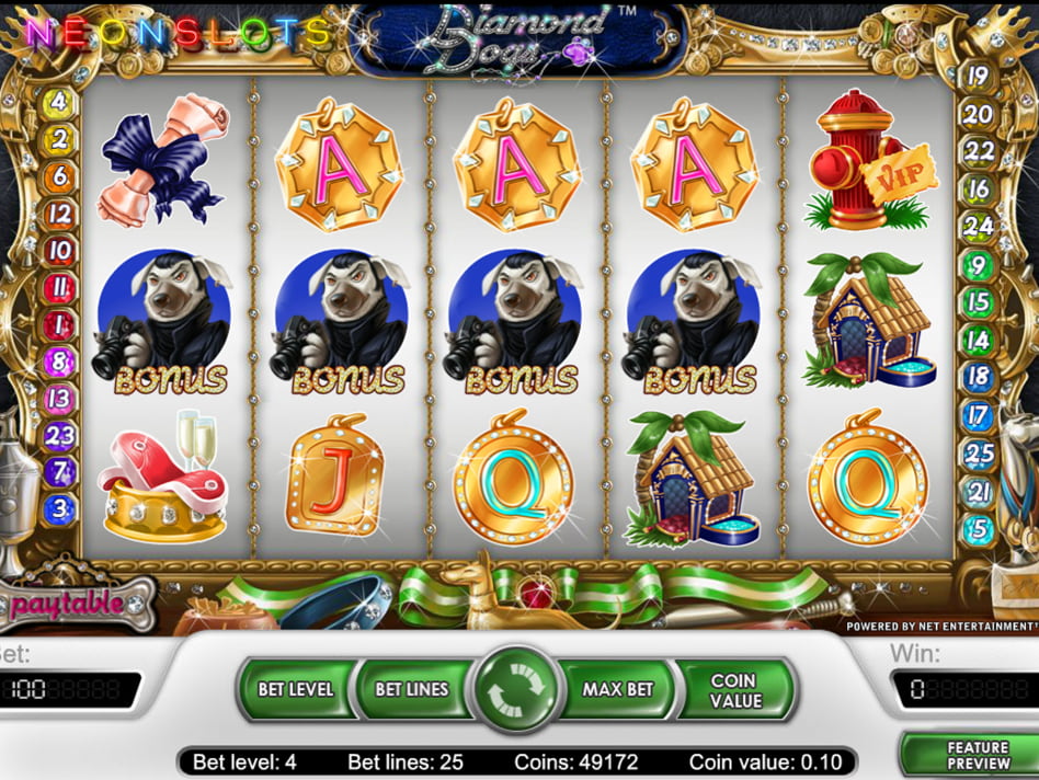 Diamond Dogs slot game