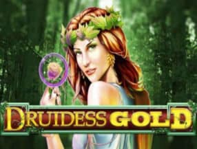 Druidess Gold slot game