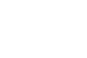 Endorphina provider