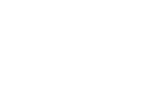 Evoplay provider