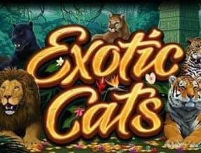 Exotic Cats slot game