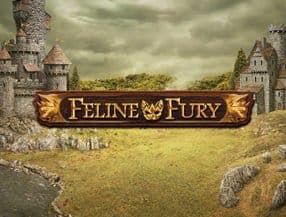 Feline Fury slot game