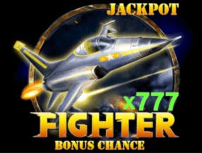 Fighter slot game