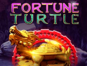 Fortune Turtle screenplay Fortune Turtle slot game
