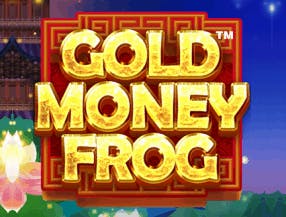 Gold Money Frog