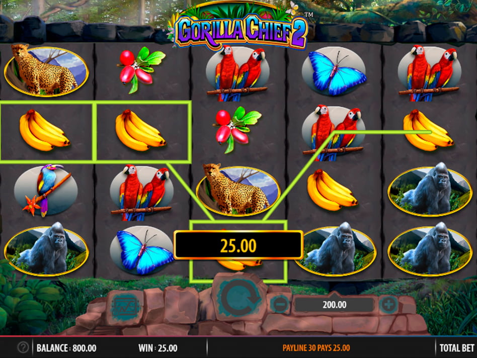 Gorilla Chief 2 screenplay Gorilla Chief 2 slot game
