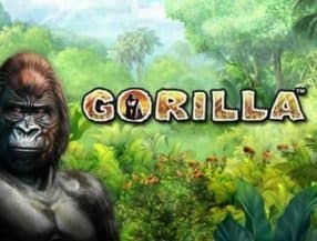 Gorilla slot game